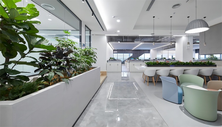辦公室裝修密碼，打造舒適辦公“綠洲”